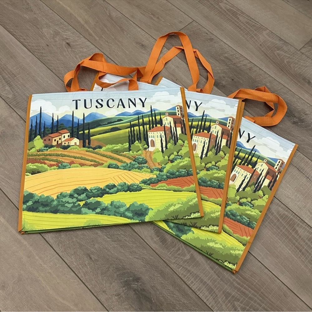 Homegoods TJMaxx Marshalls Tuscany Italian Countryside Scene Bags Set of 3 NWOT